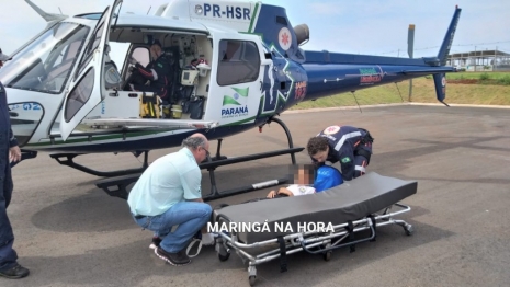 foto de Aluna é picada por escorpião amarelo em escola da região de Maringá 