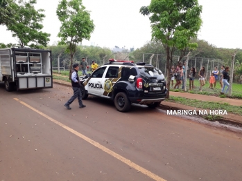 foto de Homem é morto com tiros na cabeça no Jardim Universo em Maringá