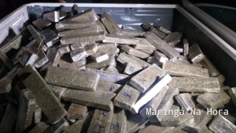 foto de Denarc apreende grande quantidade de maconha em Maringá 