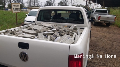 foto de Denarc apreende grande quantidade de maconha em Maringá 