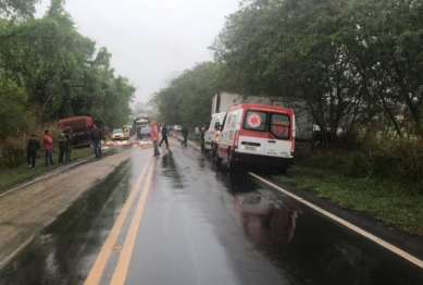 foto de Colisão entre caminhões causa três mortes na região 