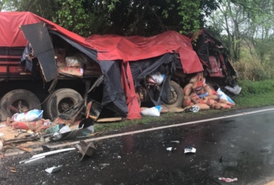 foto de Colisão entre caminhões causa três mortes na região 