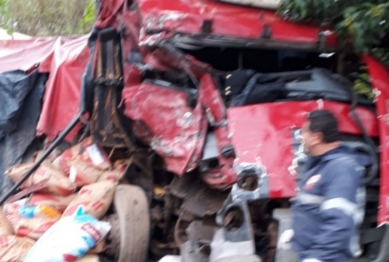 foto de Colisão entre caminhões causa três mortes na região 