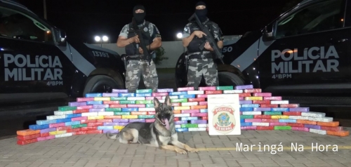 foto de Choque Canil do 04°BPM apreende quase 200 quilos de crack em Maringá