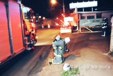 foto de Trabalhador passa mal após vazamento de amônia em empresa de gelo Sarandi