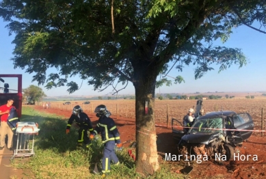 foto de Motorista fica gravemente ferido ao bater em árvore na região de Maringá