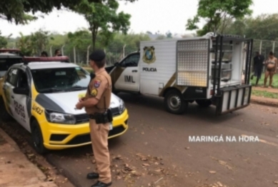 foto de PC esclarece execução registrada na zona sul de Maringá 