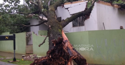 Temporal causou transtornos e prejuízos na tarde de hoje em diversos pontos de Maringá