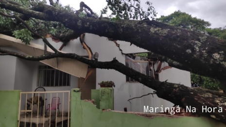 foto de Temporal causou transtornos e prejuízos na tarde de hoje em diversos pontos de Maringá