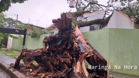 foto de Temporal causou transtornos e prejuízos na tarde de hoje em diversos pontos de Maringá