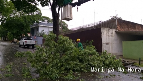 foto de Temporal causou transtornos e prejuízos na tarde de hoje em diversos pontos de Maringá