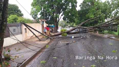 foto de Temporal causou transtornos e prejuízos na tarde de hoje em diversos pontos de Maringá