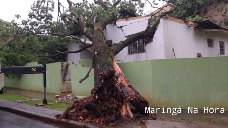 foto de Temporal causou transtornos e prejuízos na tarde de hoje em diversos pontos de Maringá