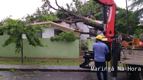 foto de Temporal causou transtornos e prejuízos na tarde de hoje em diversos pontos de Maringá