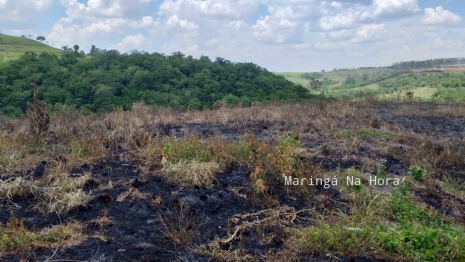 foto de Fatalidade - Agricultor é encontrado morto com o corpo parcialmente queimado em Marialva