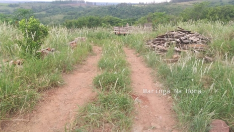 foto de Fatalidade - Agricultor é encontrado morto com o corpo parcialmente queimado em Marialva