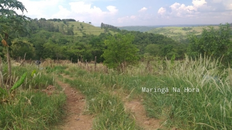 foto de Fatalidade - Agricultor é encontrado morto com o corpo parcialmente queimado em Marialva