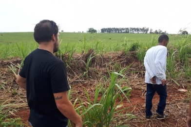 foto de Revoltante - Filho esquarteja o próprio pai e enterra na zona rural de Paranavaí