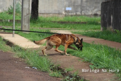 foto de Motorista de aplicativo tem carro roubado por criminosos durante corrida em Maringá