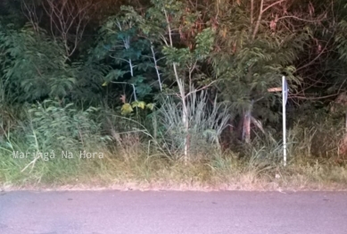 foto de Idosa é estuprada durante assalto em Maringá