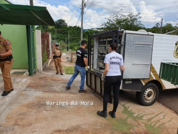 foto de Idosa morre após sofrer queda de escada em Maringá