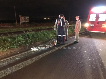 foto de IML procura familiares de mulher que morreu atropelada entre Sarandi e Marialva