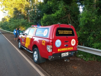 foto de Motorista morre após bater carro contra árvores entre Água Boa e Paiçandu