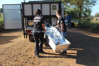 foto de Homem é encontrado morto com perfuração pelo corpo na área rural de Maringá