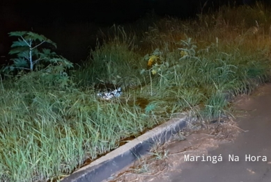 foto de Homem é morto a tiros em Mandaguaçu