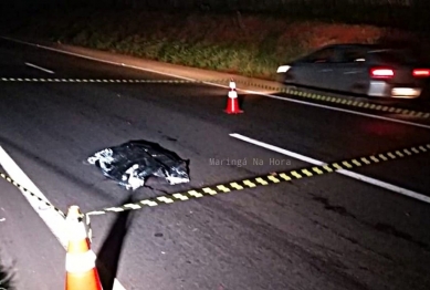 foto de IML procura familiares de homem que morreu atropelado entre Marialva e Sarandi