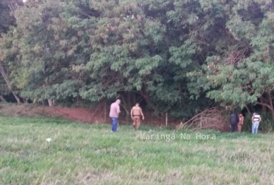 foto de Dois corpos em avançado estado de decomposição são encontrados na região de Maringá