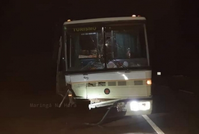 foto de Colisão frontal entre carro e ônibus deixa 3 mortos, em Marialva