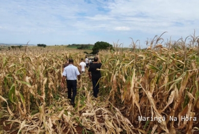 foto de Polícia investiga achado de cadáver em Marialva