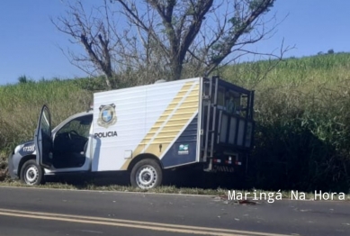 foto de Acidente entre carreta e moto, mata motociclista na PR-317