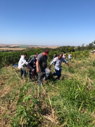 foto de Criança é atropelada por trator na zona rural de Sarandi