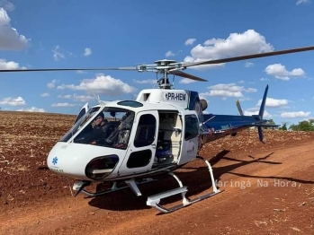 foto de Trabalhador é atacado por abelhas e sofre mais de 300 picadas em Astorga