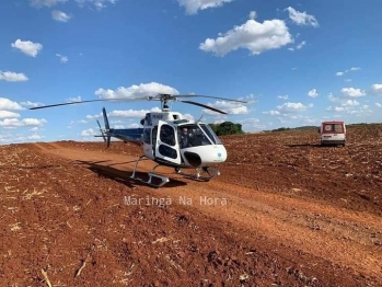 foto de Trabalhador é atacado por abelhas e sofre mais de 300 picadas em Astorga