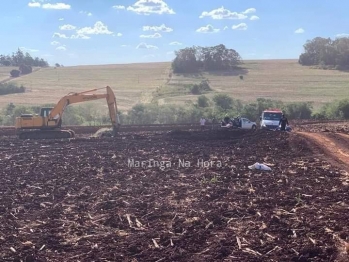 foto de Trabalhador é atacado por abelhas e sofre mais de 300 picadas em Astorga