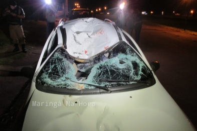 foto de Ciclista de 45 anos morre atropelado por carro na marginal da rodovia em Paiçandu