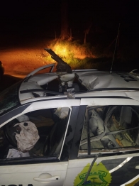 foto de Policiais militares vão atender ocorrência de perturbação do sossego e são atacados com artefato explosivo no Paraná