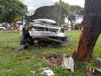 foto de Carro bate em árvore após condutor perder o controle ao colidir contra uma viatura descaracterizada