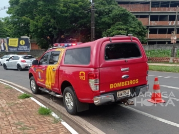 foto de Carro bate em árvore após condutor perder o controle ao colidir contra uma viatura descaracterizada