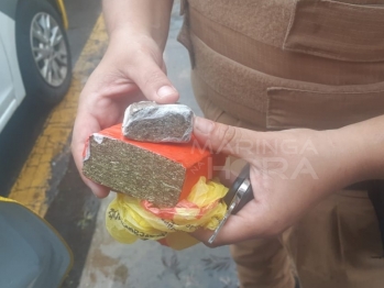 foto de Filho denuncia mãe e padrasto por tráfico de drogas, plantação de maconha e clínica veterinária clandestina em Maringá