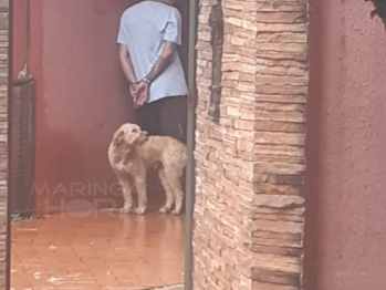 foto de Filho denuncia mãe e padrasto por tráfico de drogas, plantação de maconha e clínica veterinária clandestina em Maringá