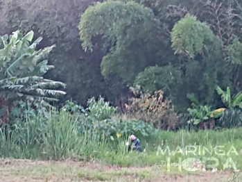 foto de Corpo é encontrado em fundo de vale na Zona Sul de Maringá