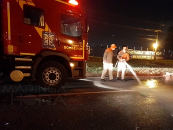 foto de Pedestre morre atropelado por carreta na BR-376, em Sarandi