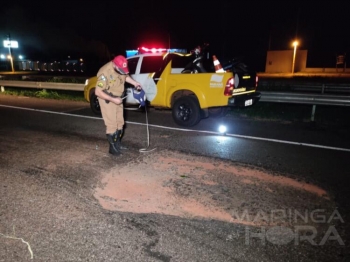 foto de Buraco na pista provoca acidente e motociclista é socorrido em estado gravíssimo na PR-323