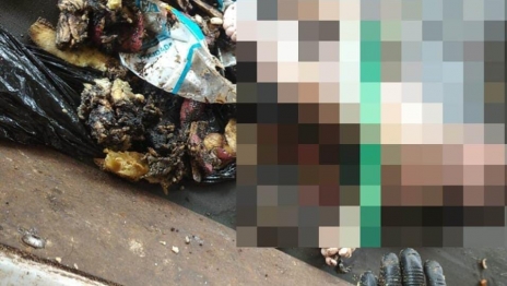 foto de Revoltante - Corpo de bebê é encontrado em saco plástico