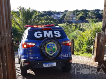 foto de Corpo de homem é encontrado dentro de córrego, em Sarandi 