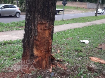 foto de Carro capota na Avenida Alziro Zarur e mulher fica ferida em Maringá